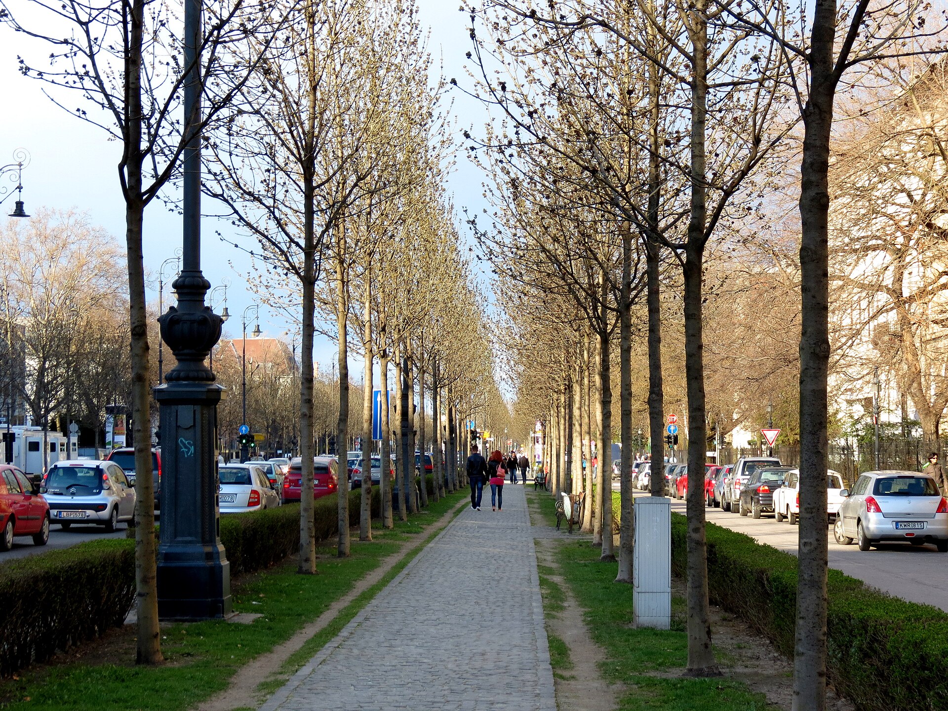 Tree-lined Andrassy Avenue